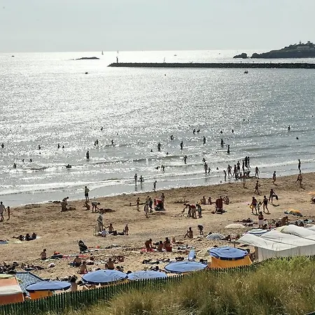 Ternelia Le Vent Du Large